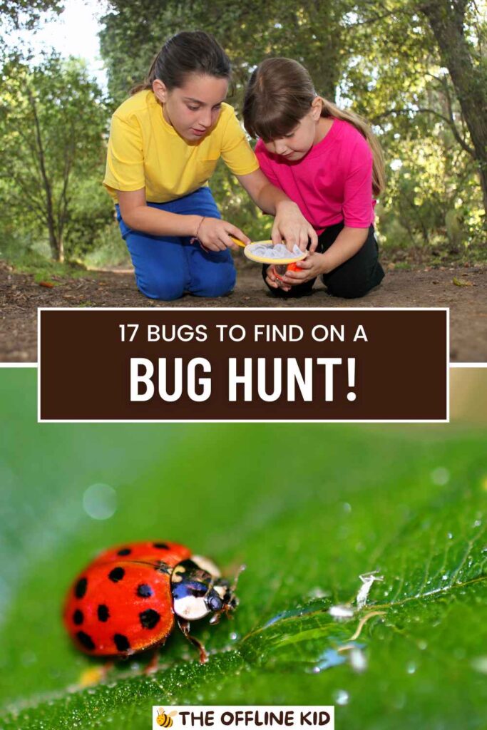 bug hunting pin