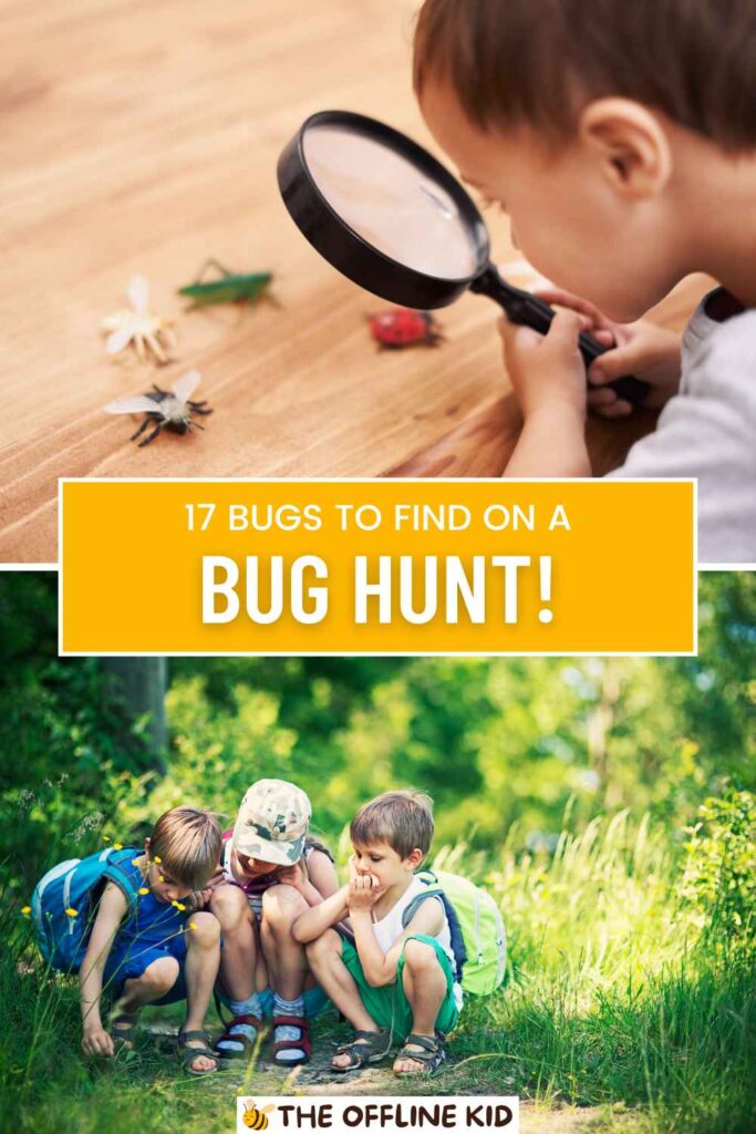 kid bug hunting pin