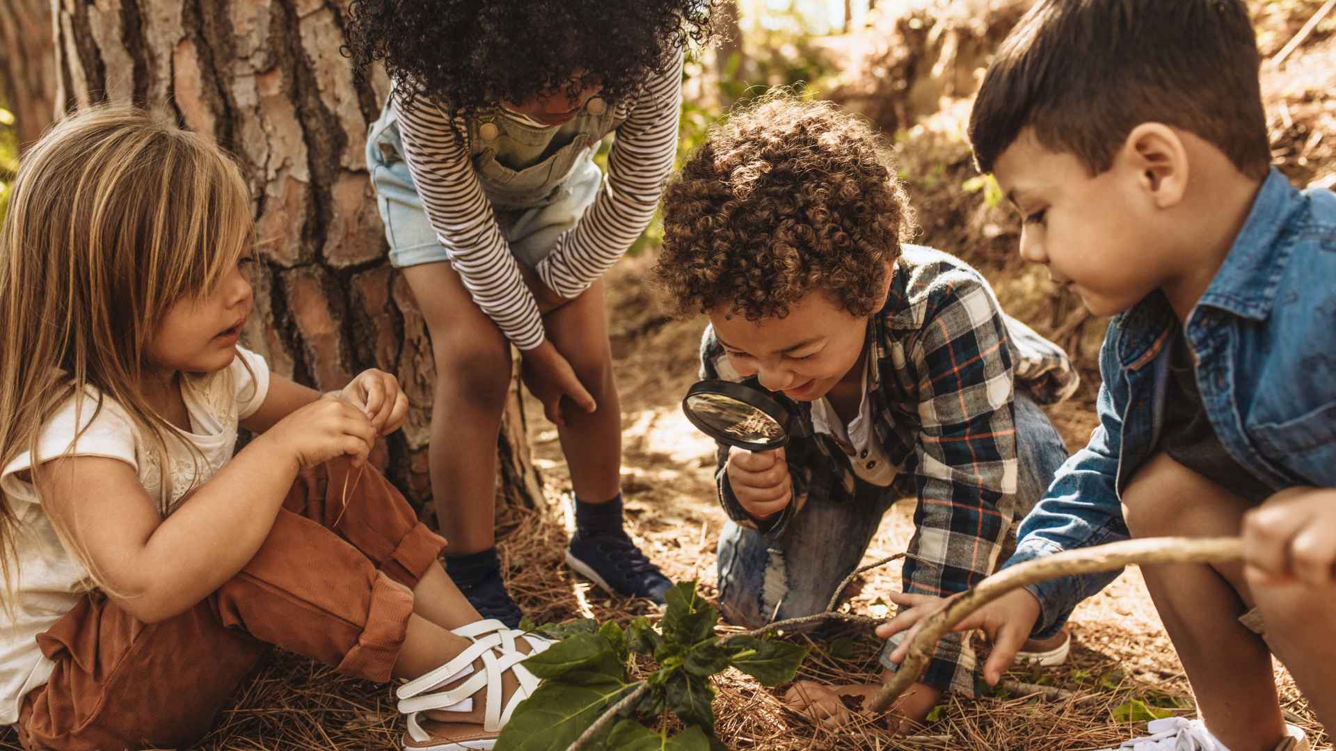 Parent and young child looking through binoculars together in a backyard, birdwatching for kids