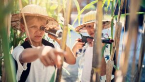 18 Outdoor Survival Skills For Kids