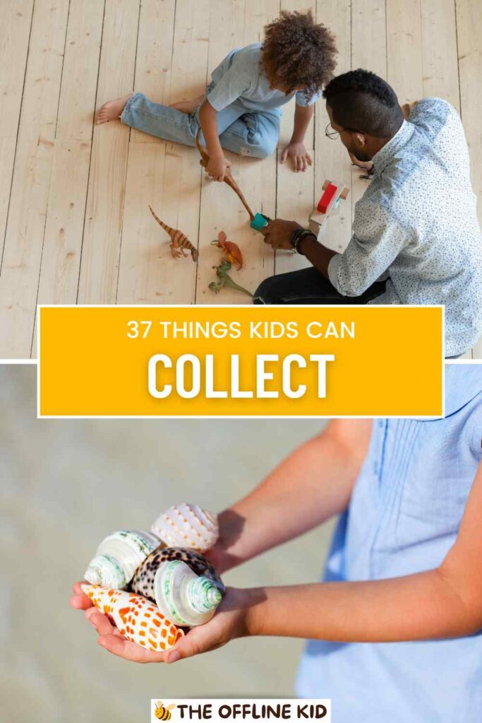 37 Different Things Kids Can Collect Starting Today!