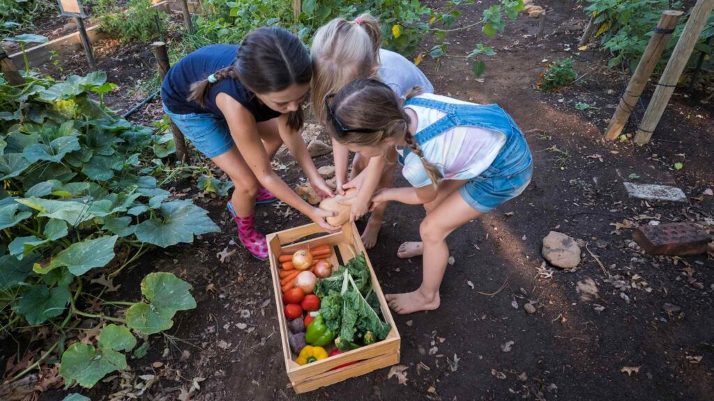 kids veggies to garden