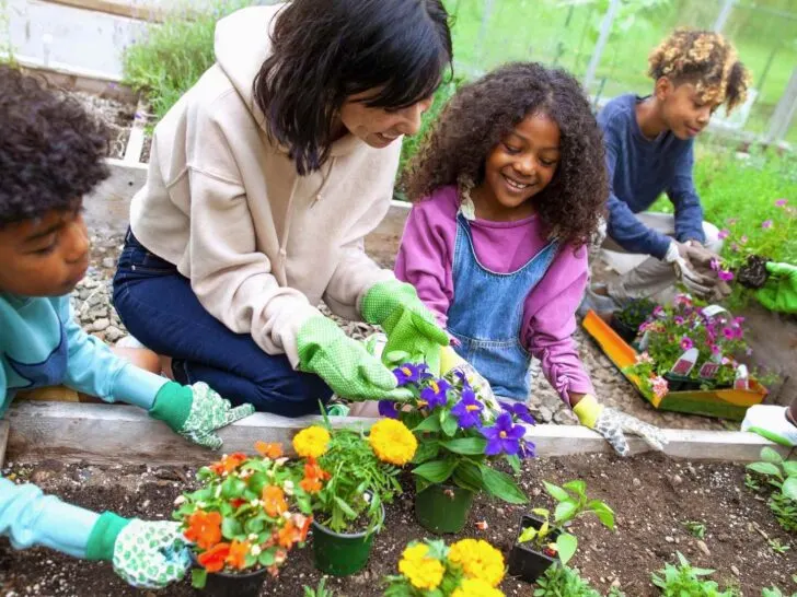 kids veggies to garden