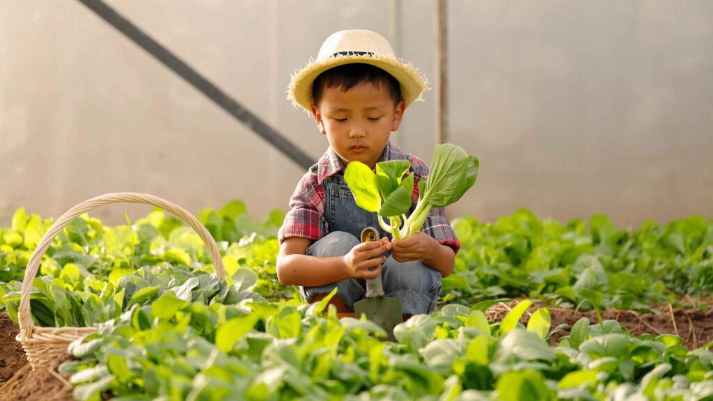 kids veggies to garden