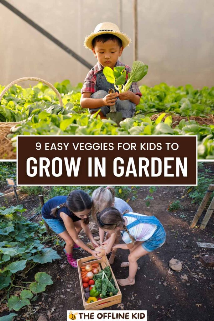 veggies in garden kids pin