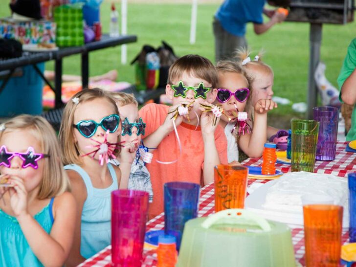 33 Best Birthday Ideas for 6-Year-Olds