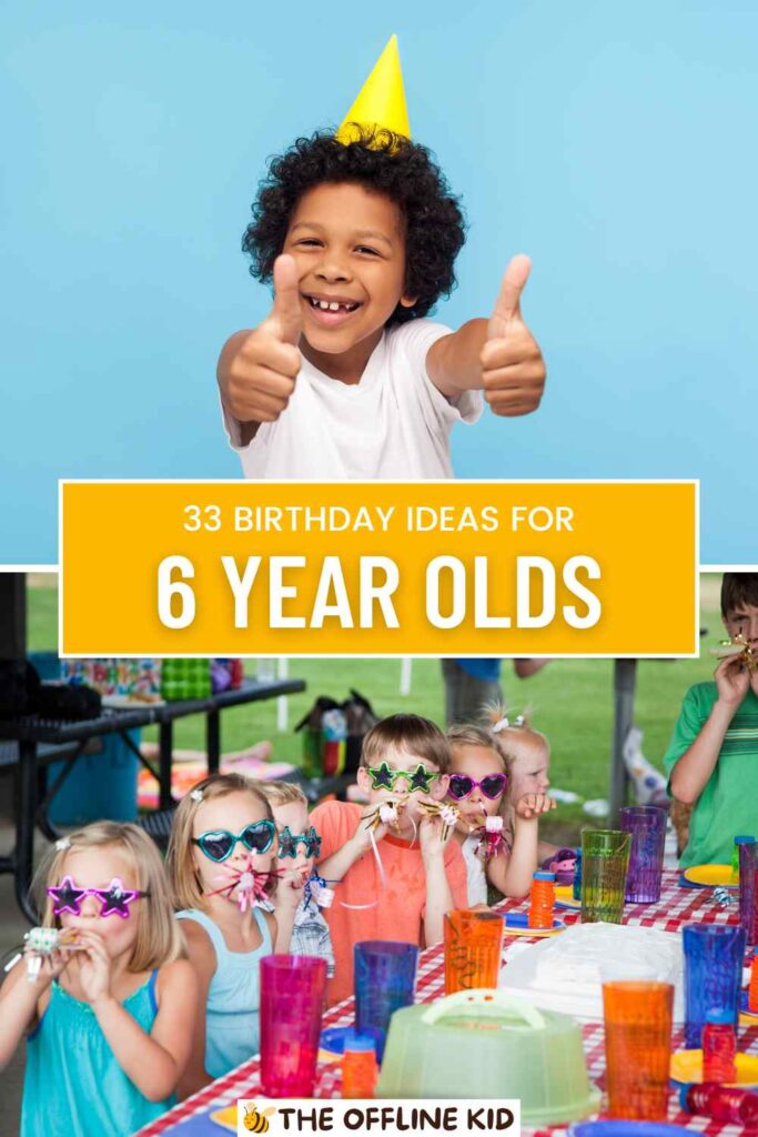 birthday party for 6 year old pin