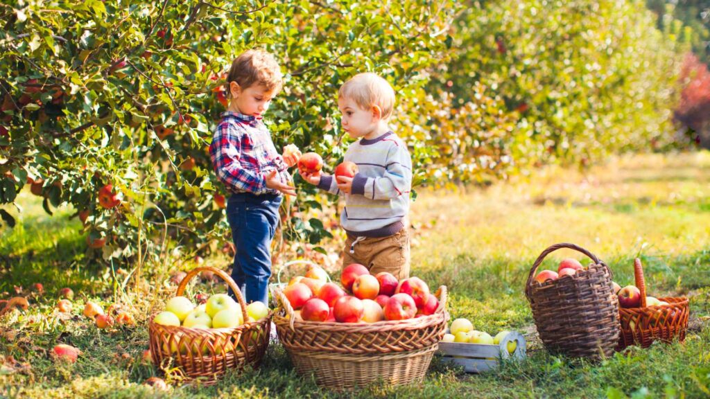 fall outdoor activities for kids