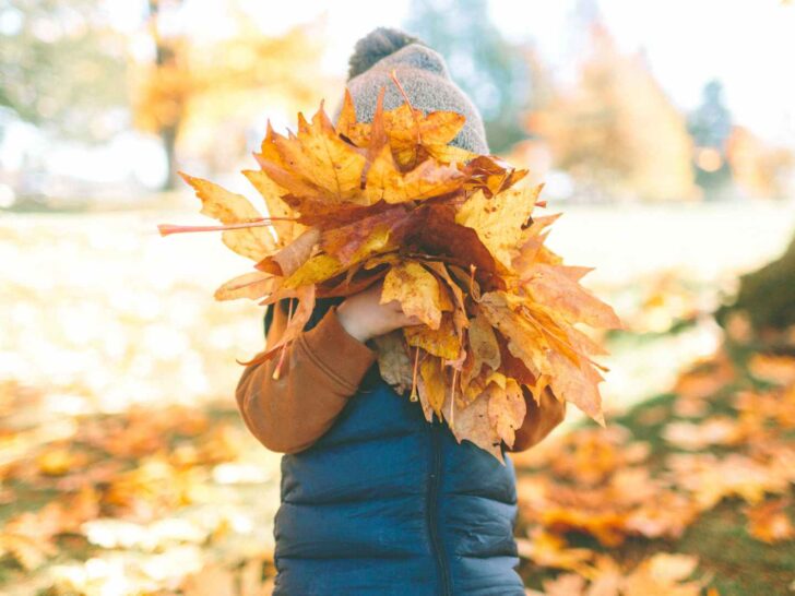 fall outdoor activities for kids