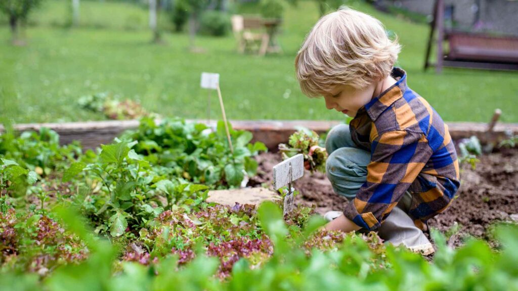 small garden with kids