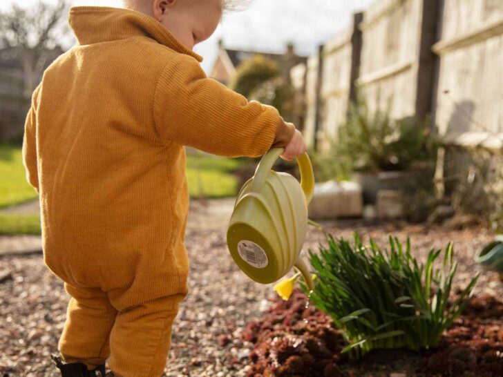 Gardening Essentials for Kids: Nuturing Green Thumbs